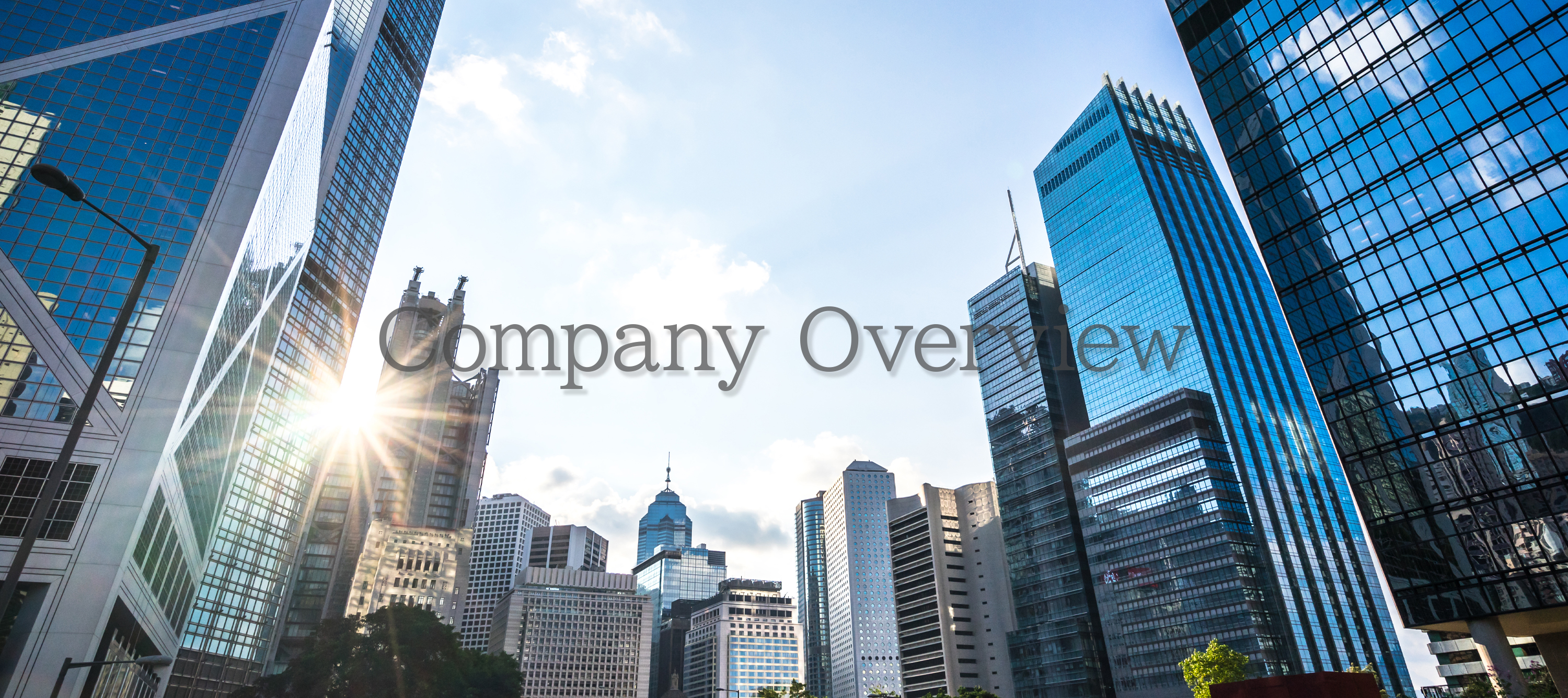 Companyoverview